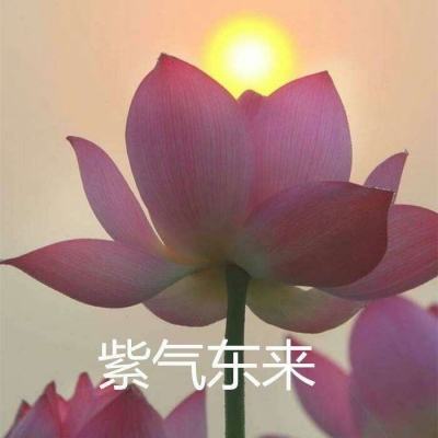 暗黑边缘觉醒官方版下载